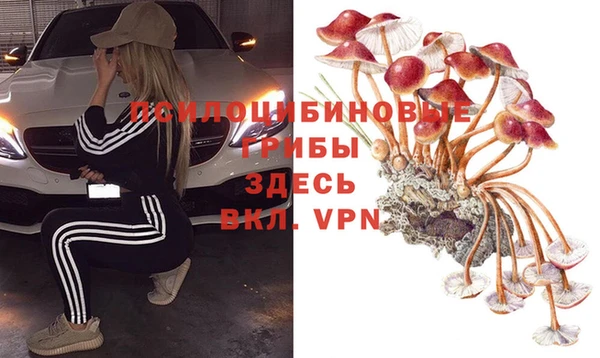 соль ск Протвино