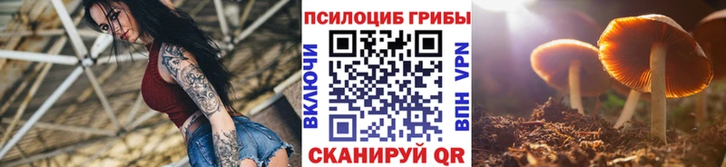 Галлюциногенные грибы мицелий Нерюнгри